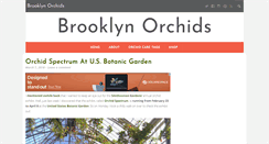 Desktop Screenshot of bklynorchids.com